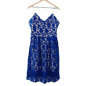 Alexia Admor Cobalt Blue Lace Overlay Dress | Size XL | NWT